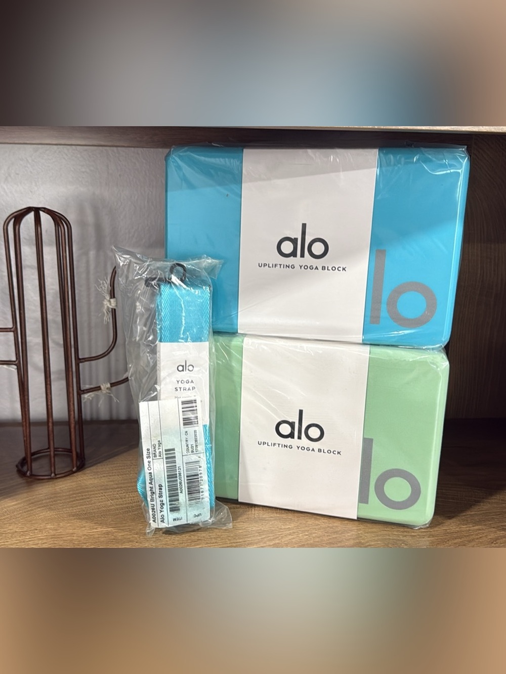 NIP Alo Yoga Blocks and strap